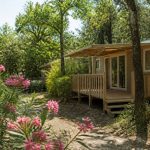 Domaine arleblanc : camping de charme en Ardèche